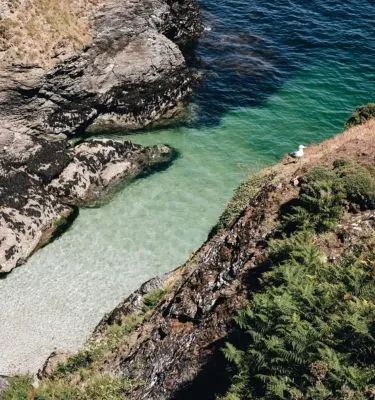 belle-ile-crique-bcourbin