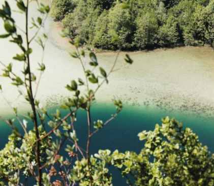 eaux translucides, lacs jurassiens @MCoppin