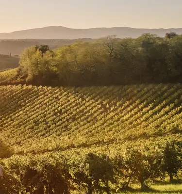 Randonnées en Toscane