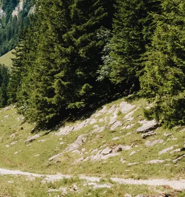 Daniel Sessler Unsplash Randonnées en Suisse