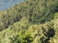 Adobestock nounours1 Randonnées en Velay et Ardèche