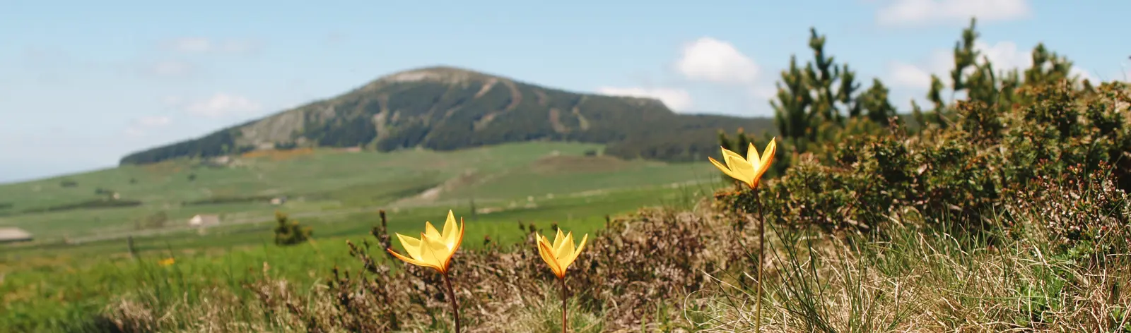 Randonnées en Velay et Ardèche