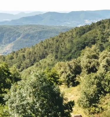 Adobestock nounours1 Randonnées en Velay et Ardèche