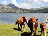 Randonnées dans les Pyrénées Orientales