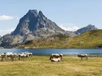 Randonnées dans les Pyrénées Centrales