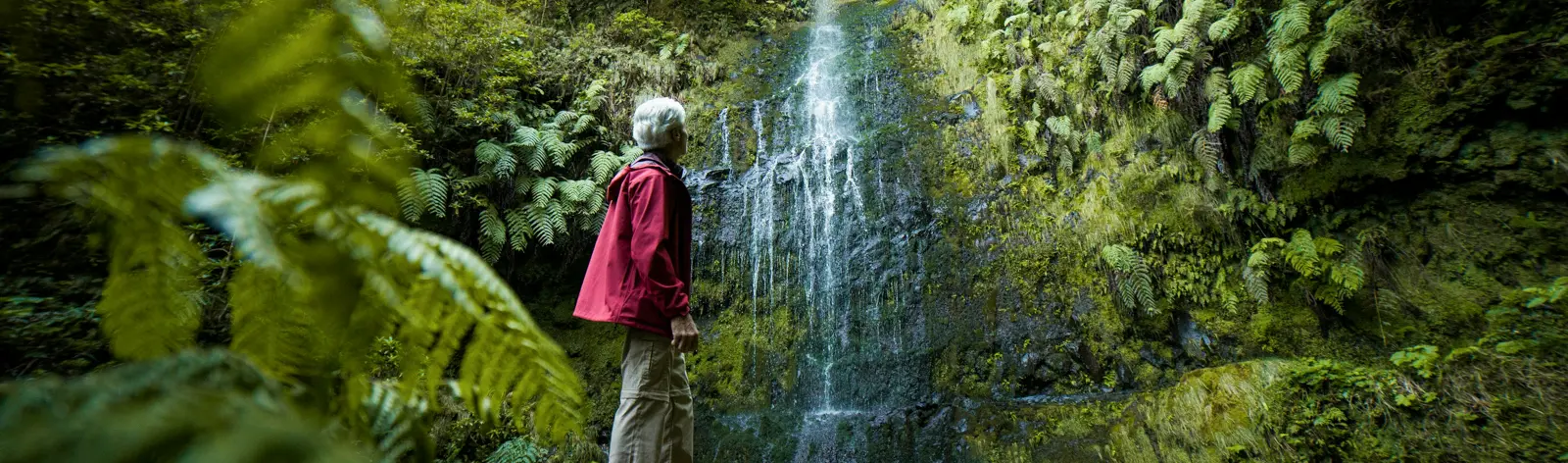 Hikerwise unsplash Randonnées à Madère