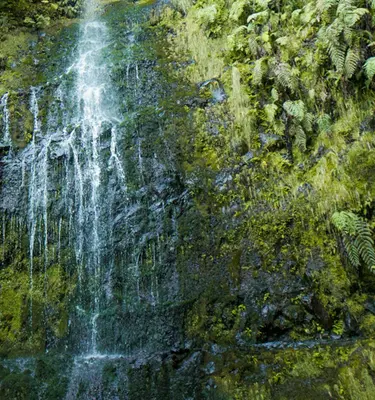 Hikerwise unsplash Randonnées à Madère