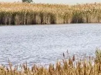 AdobeStock D.Surkov Randonnées en Camargue