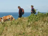 Voyages découverte avec un guide