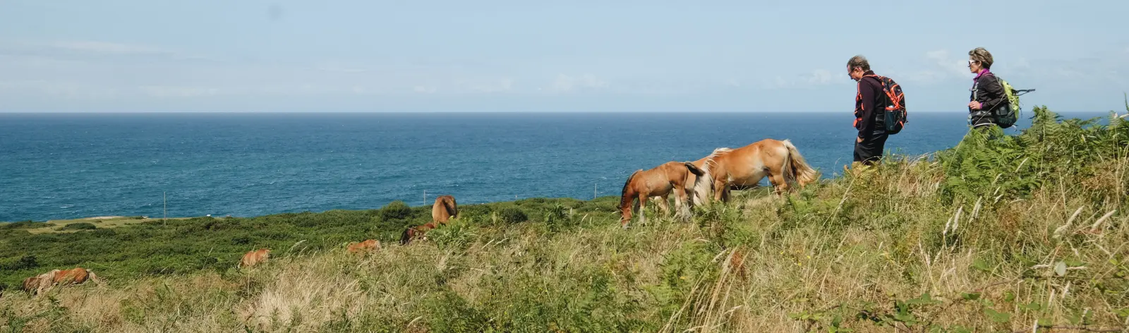 Voyages découverte avec un guide