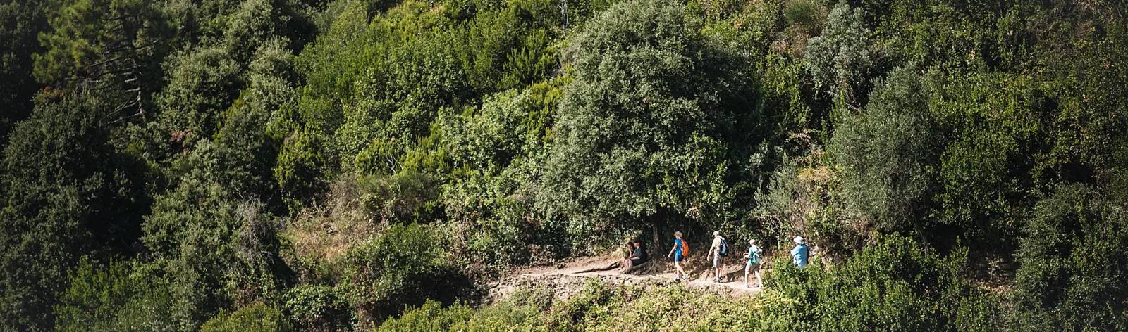 Randonnées en voyages accompagnée