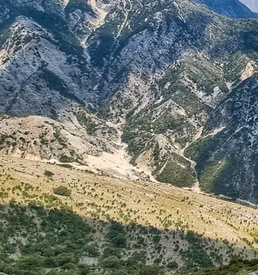 adobestock legourmand1 Randonnées en Albanie
