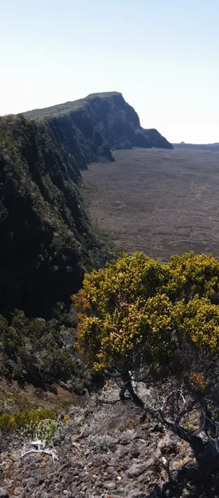 île de la Réunion