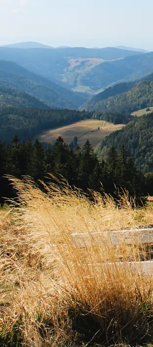 Randonnées Allemagne Randonnées Allemagne