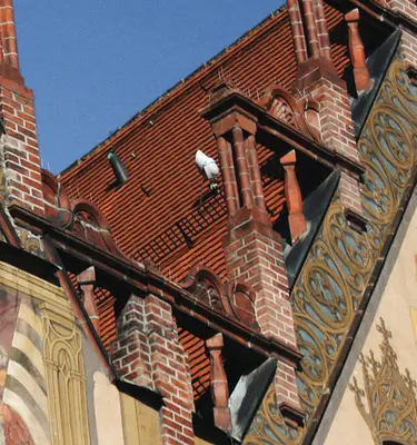 Allemagne Unsplash Jacek Dylag Randonnée en Allemagne