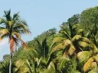 Randonnées en Guadeloupe