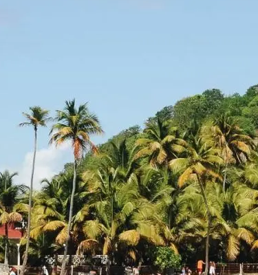 Adobestock packshot Randonnées en Guadeloupe