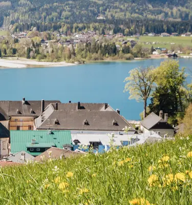 AdobeStock  Randonnées en Autriche