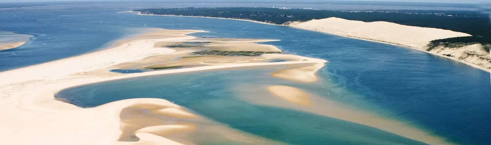 AdobeStock Guitou33 Randonnées dans le Bassin d'Arcachon
