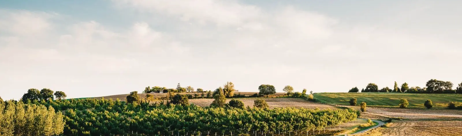 IStock Dutourdumonde Randonnées dans le Gers