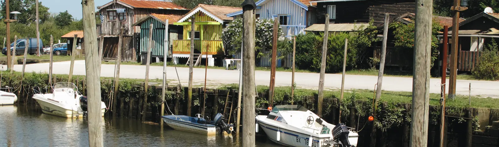 Randonnées dans le Bassin d'Arcachon 