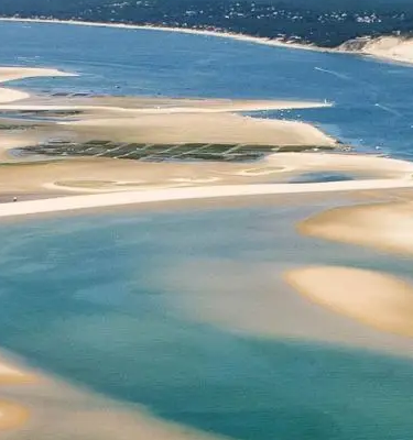 AdobeStock Guitou33 Randonnées dans le Bassin d'Arcachon