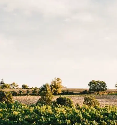 IStock Dutourdumonde Randonnées dans le Gers