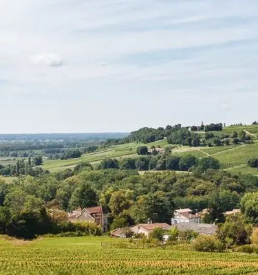 AdobeStock T.Launois Randonnées dans le Médoc