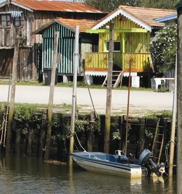 Randonnées dans le Bassin d'Arcachon 