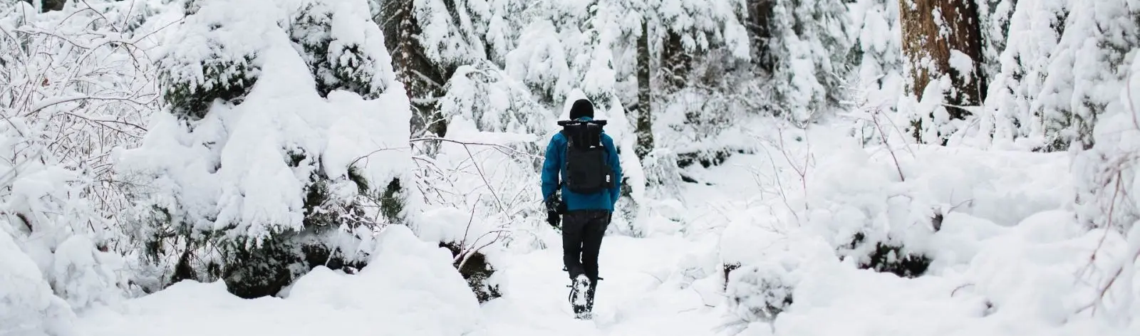 unspash charbeck Randonnées à raquettes