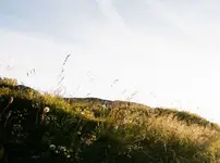 Séjours découverte en liberté