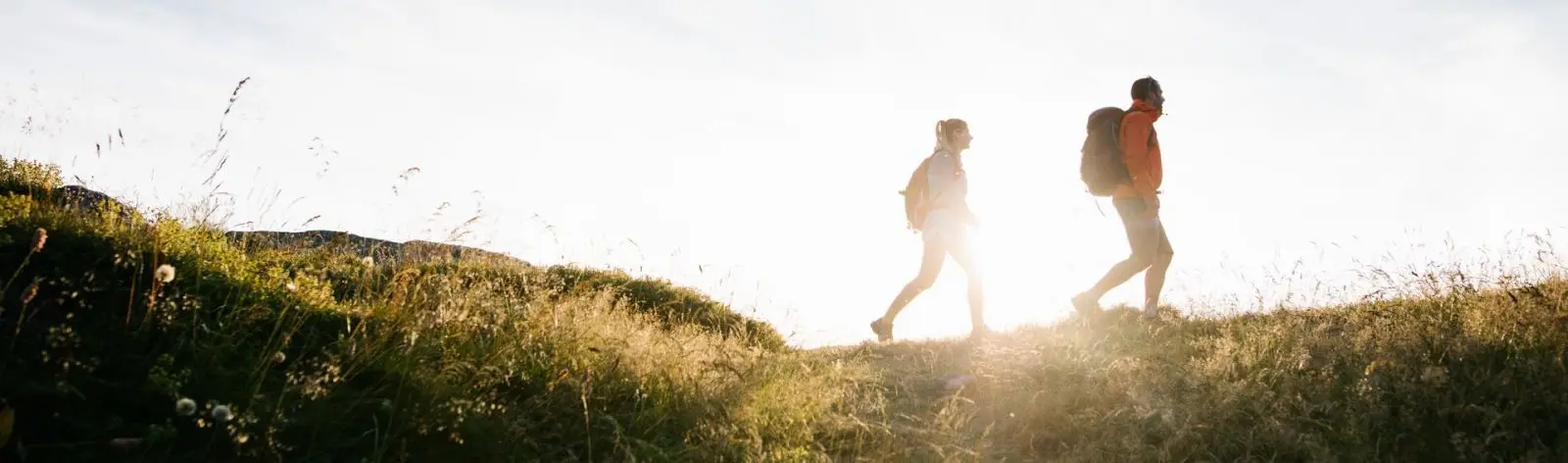 Séjours découverte en liberté
