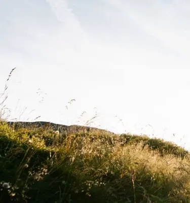 Séjours découverte en liberté