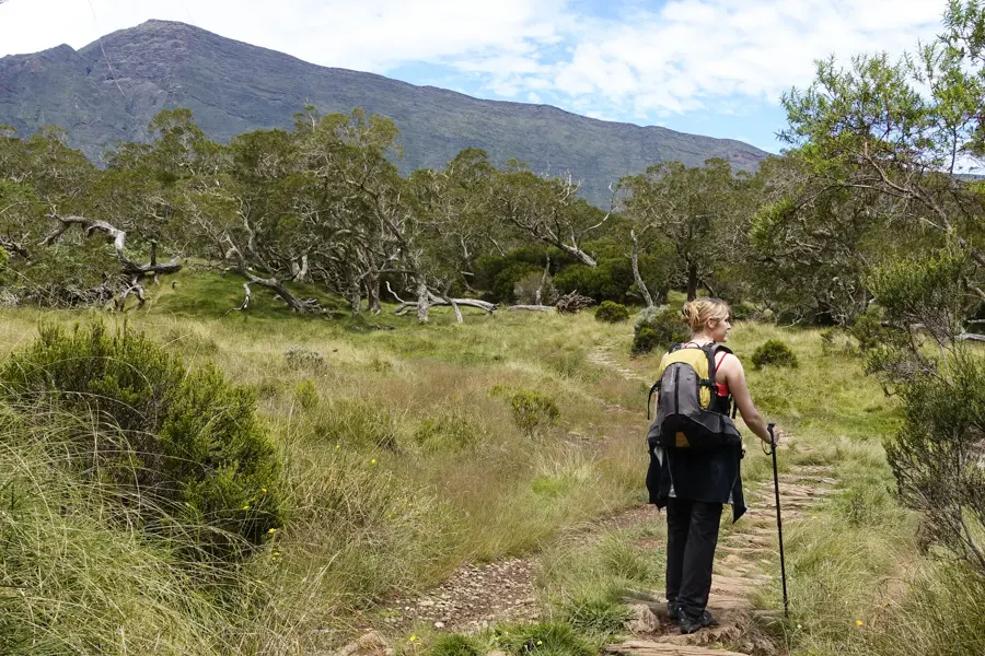 Voyage en Haute Montagne - La Réunion - Escapade Créole, l\'île intense