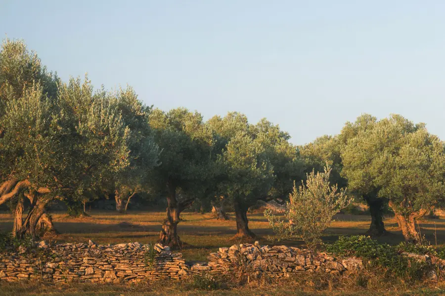 Région de Ravni Kotari