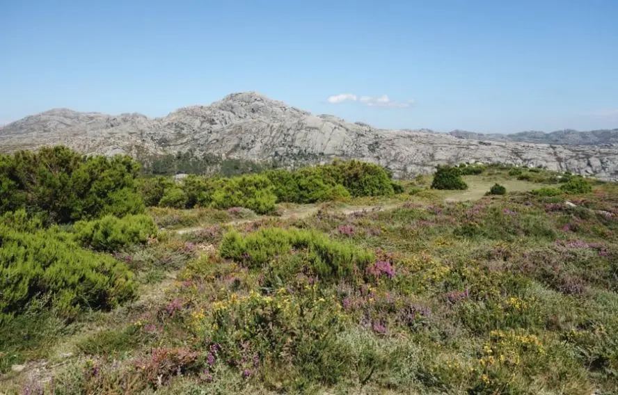 Le parc national de Peneda par le GR50
