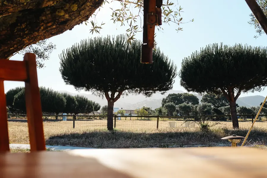 La Rota Vicentina à vélo