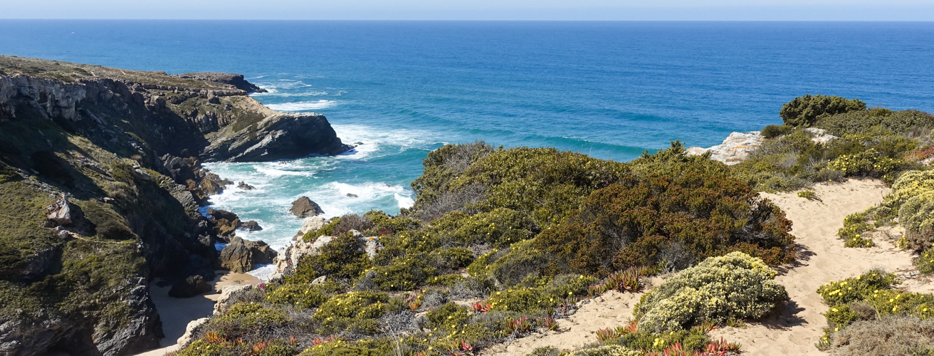 rota-vincentina-integral