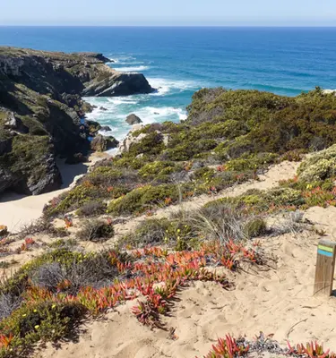 rota-vincentina-integral