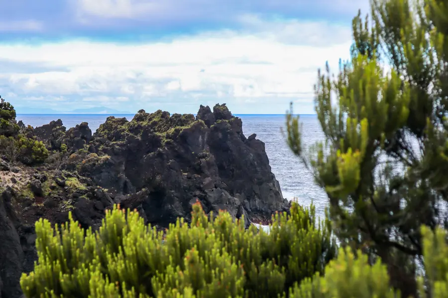 Paul Taton Unsplash