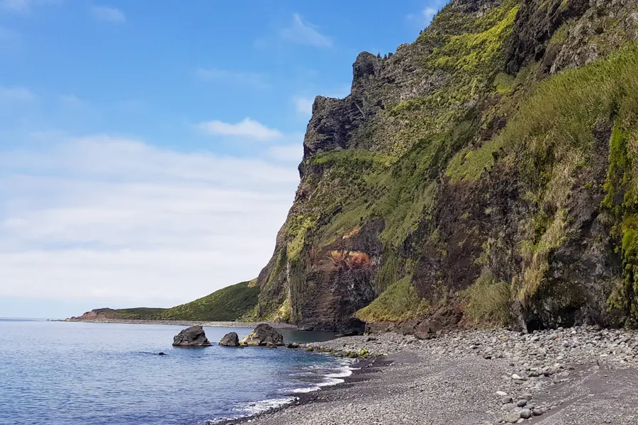 F. Weber