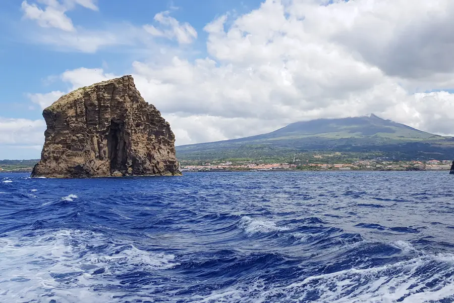 F. Weber Bateau à la rencontre des cétacés