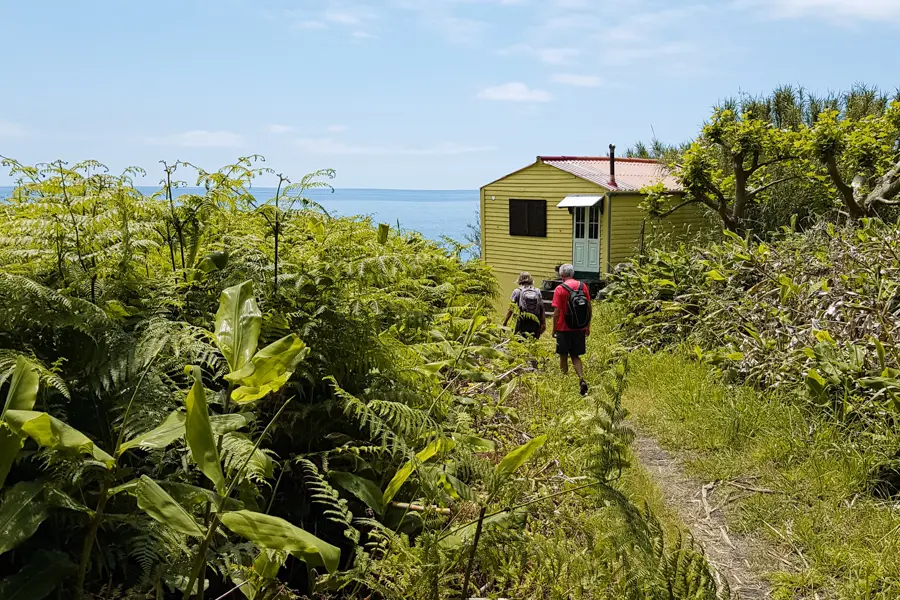 Trek - îles de Faïal et Pico