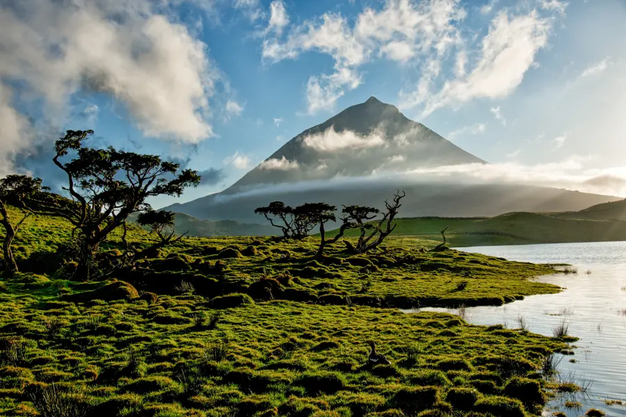 Ruigsantos Adobestock