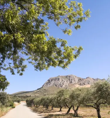 decouverte-peloponese-autotour