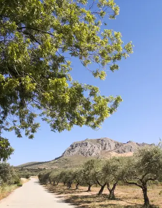 decouverte-peloponese-autotour