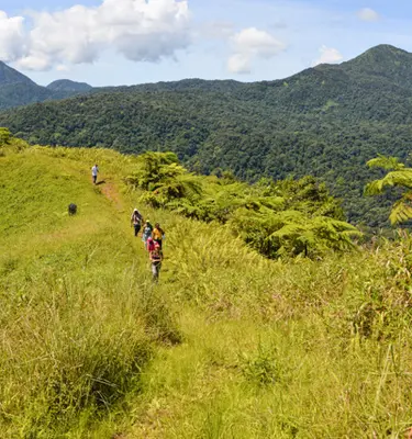 activites-nature-en-martinique