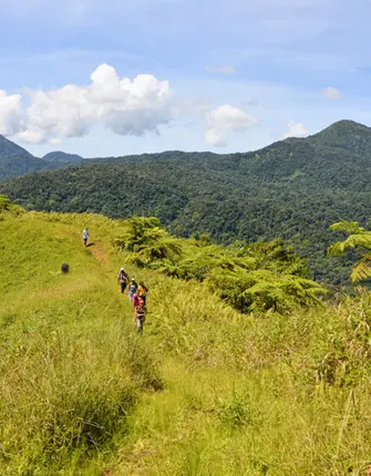 activites-nature-en-martinique