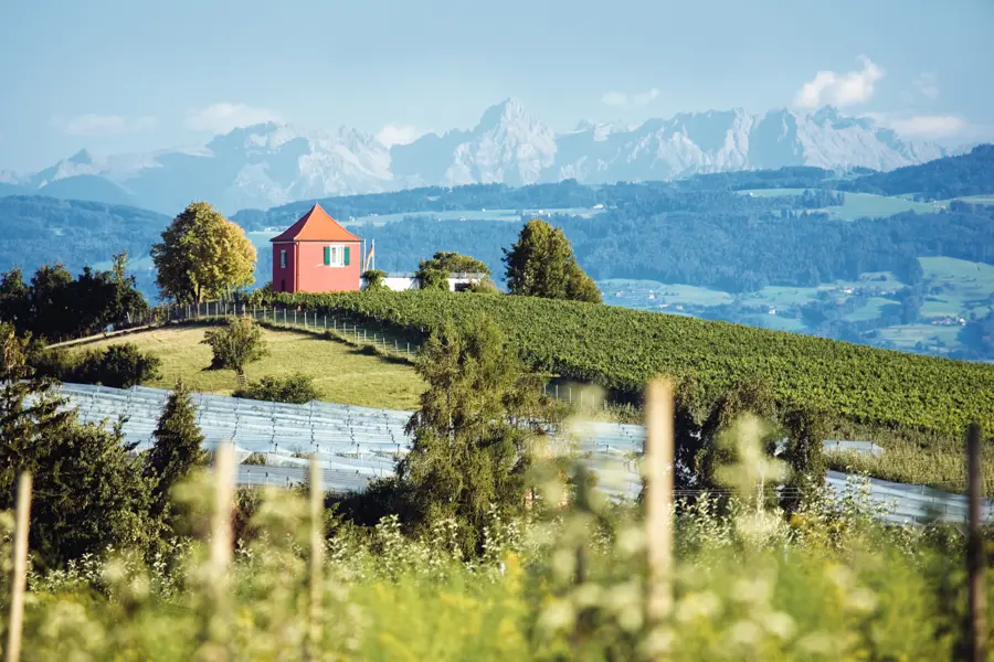 Voyage à vélo - Le tour du lac de Constance à vélo