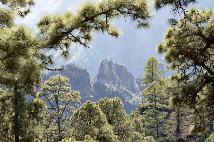 Image La Palma - 8 jours